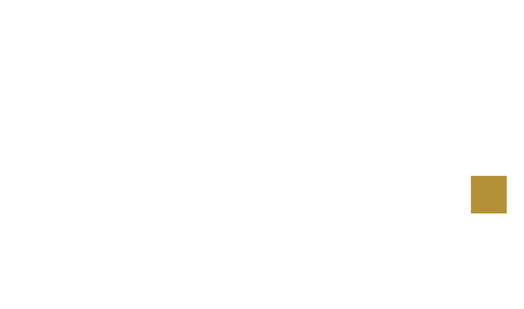 DJS Hekwerken & Toegangstechniek
